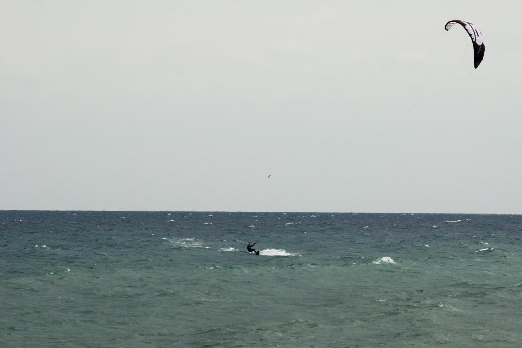Stapo Umag